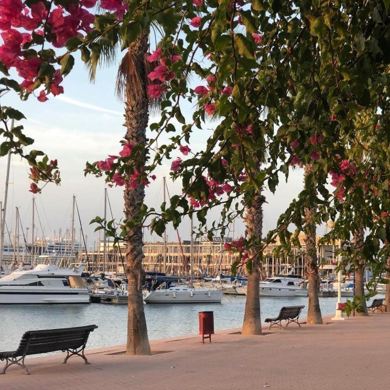 10-46-1- Комната В Квартире Для 4 Человек В Аликанте Alicante Zewnętrze zdjęcie
